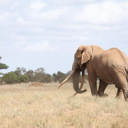 Ol Tukai Lodge Amboseli-Nationalpark Exterior foto