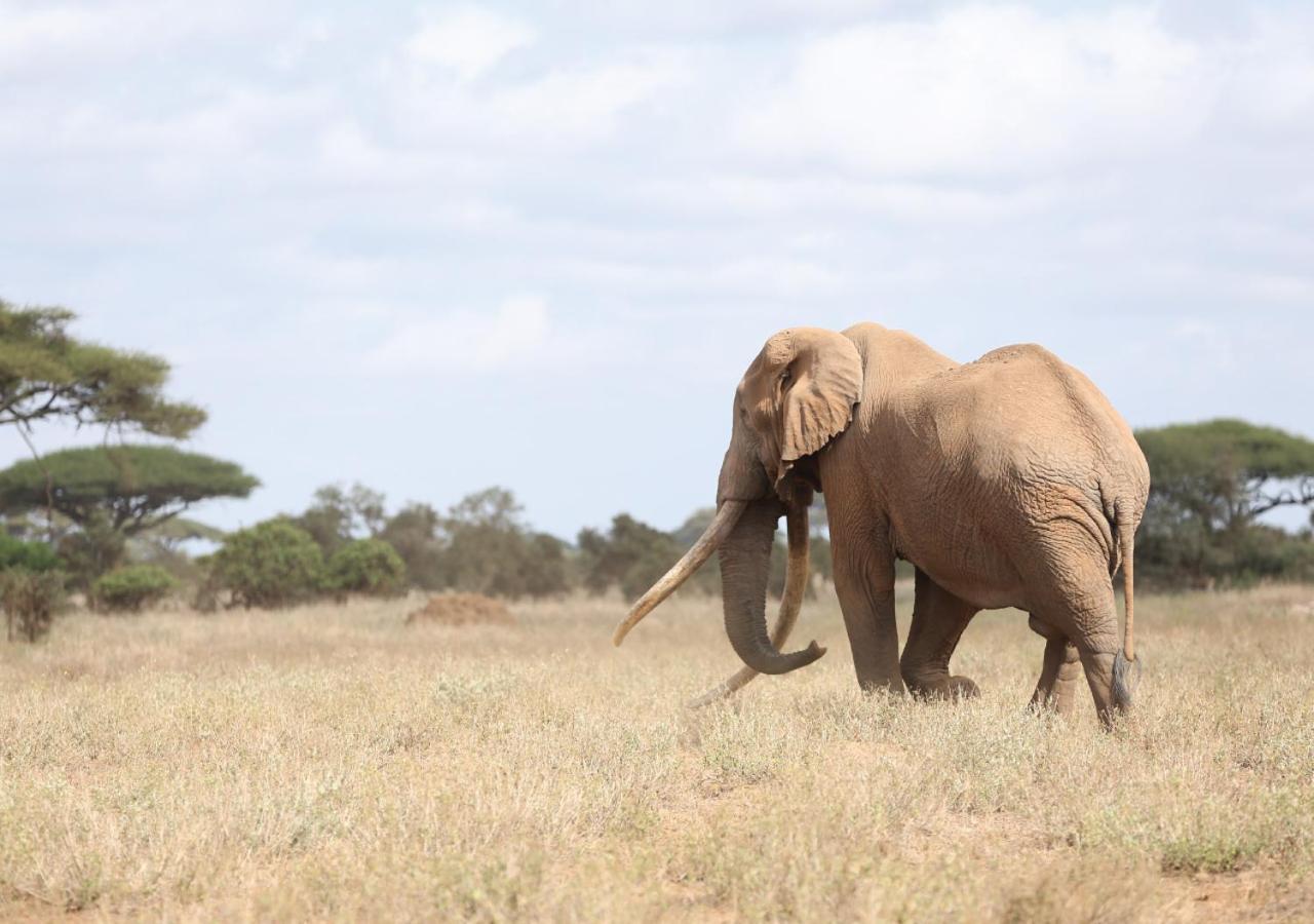 Ol Tukai Lodge Amboseli-Nationalpark Exterior foto