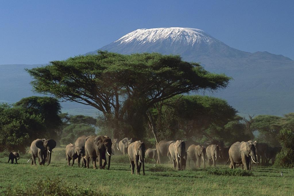 Ol Tukai Lodge Amboseli-Nationalpark Exterior foto